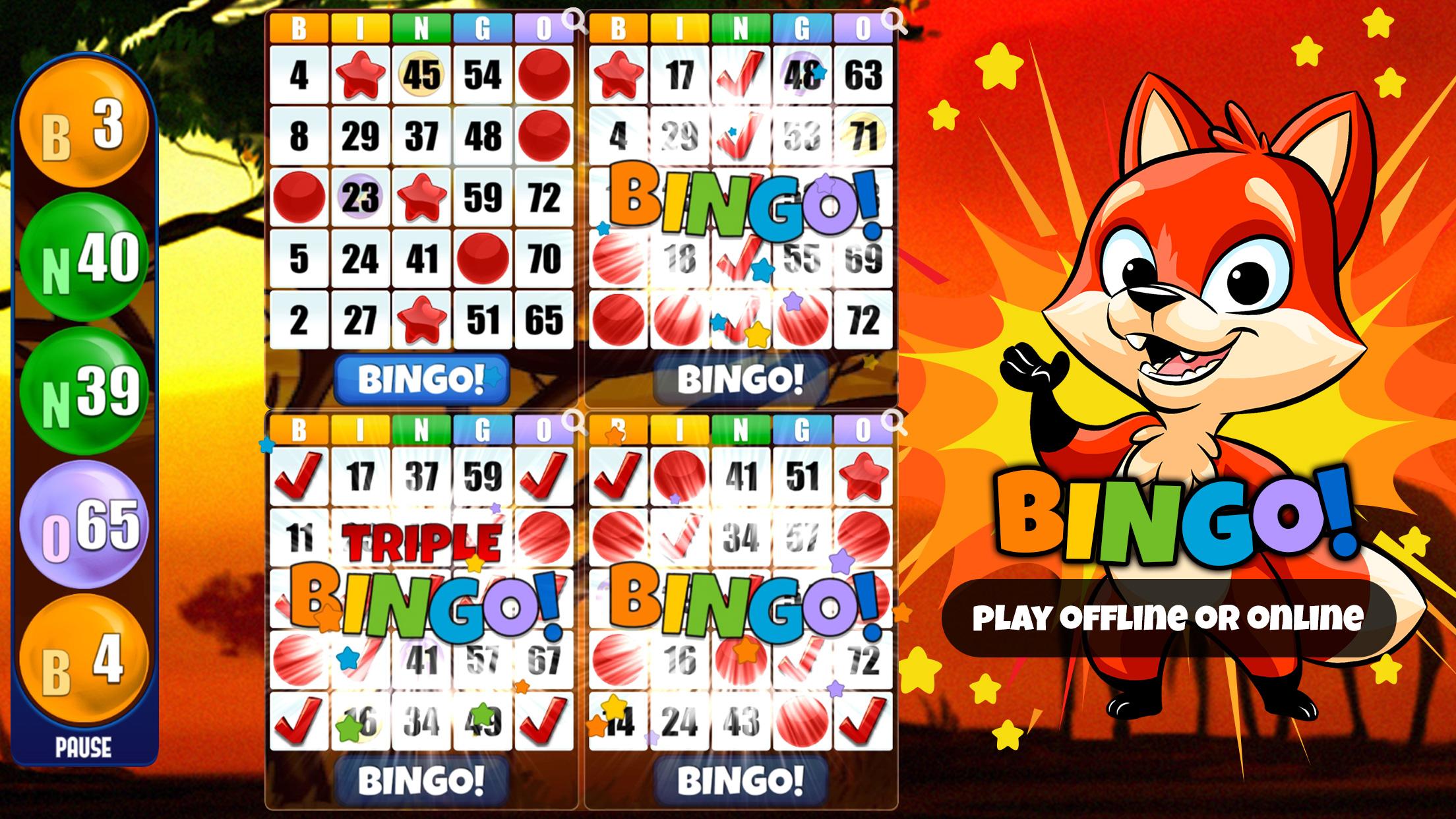 Power-ups and double bingo wins
